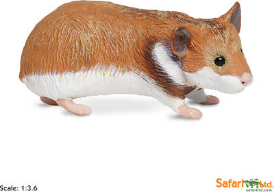 Μινιατούρες Safari Hamster Χάμστερ