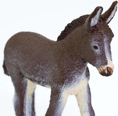 Μινιατούρες Safari Donkey Foal Γαϊδουράκι