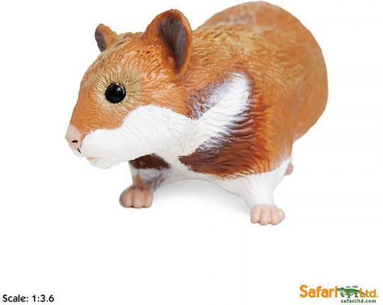 Miniature Hamster Hamster Safari Hamster