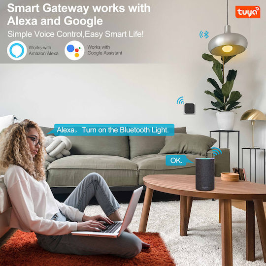 Inhocon Smart Hub Wi-Fi / Bluetooth Compatible with Google Home & Alexa