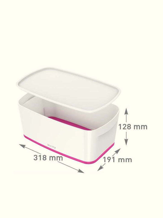 Leitz Plastic Storage Box with Lid White
