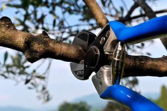 Hydrostab Pruning Shears