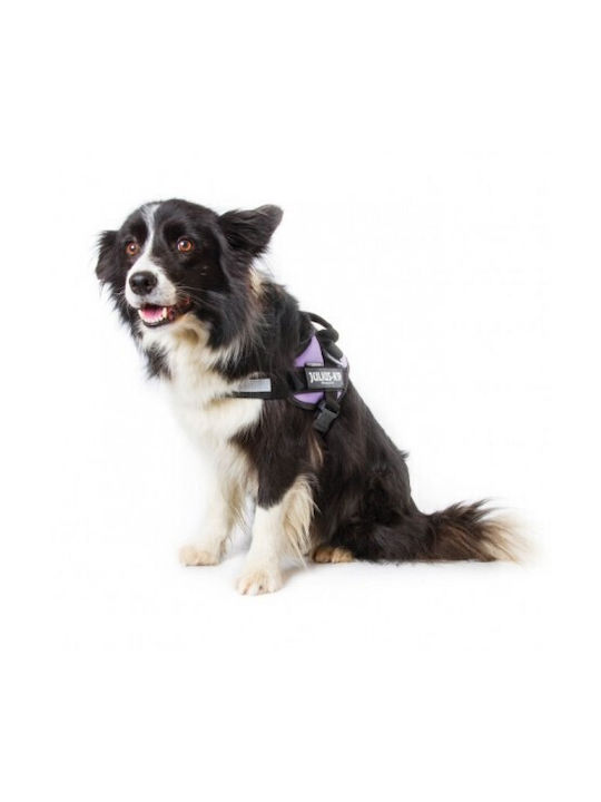 Julius K9 Γιλέκο IDC Powerharness Μπορντό Κόκκινο 82-115cm
