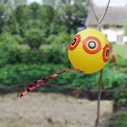Gardin Eye-Ball Repellent Scare Birds