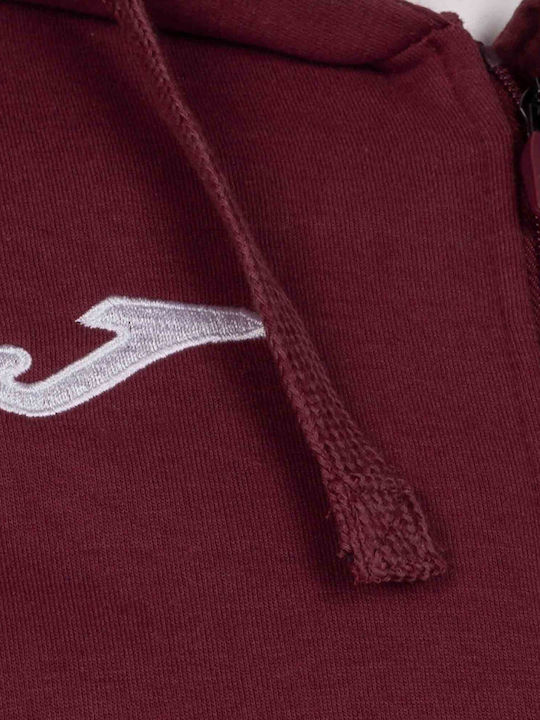 Campus Iii Men's Fleece Jacket with Hood Red