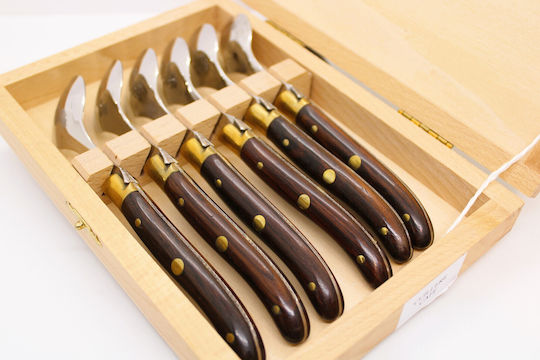 Claude Dozorme Spoon Set Desert / Ice Cream Metallic Brown 6pcs
