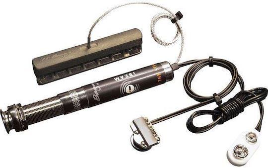 LR Baggs EAS-VTC Elemento