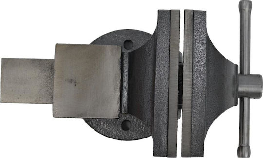 AWTools Fixed Vise Countertop Made of Cast Iron with Maximum Opening 125mm