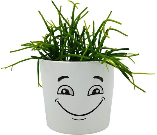 Zusammensetzung Rhipsalis Caspo Fatsoula Double