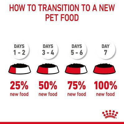 Royal Canin Care Wet Food for Adult Cats in Pouches 85gr