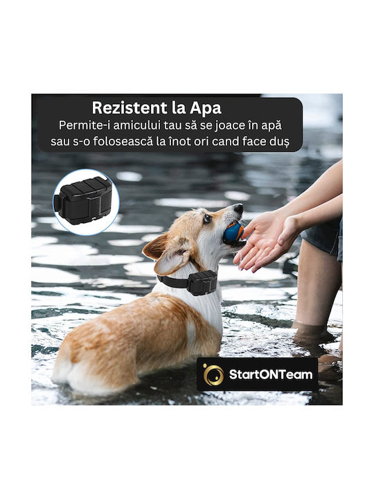 Professional Electric Dog Collar Training Hunting Dogs Remote Control Display Adjustable Black