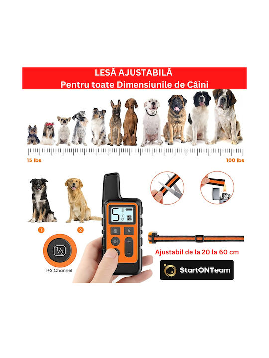 Professional Electric Dog Collar Training Hunting Dogs Remote Control Display Adjustable Black
