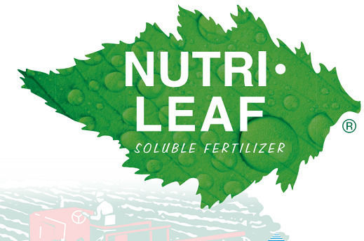 Elanko Granular Fertilizer Nitrogen, Phosphorus, Potassium (20-20-20) for Fruitful 11.33kg