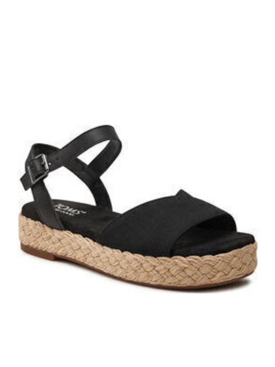 Toms
