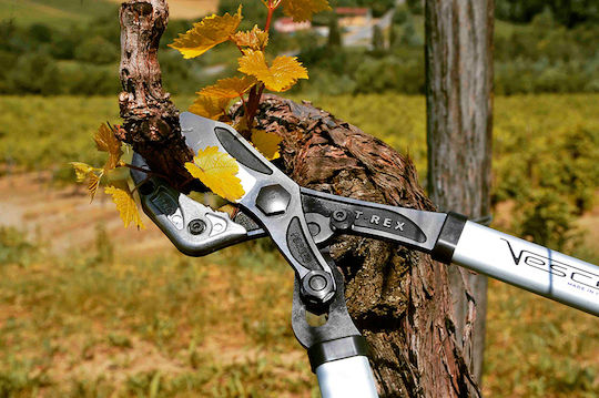 Hydrostab HS0550547 Bypass Loppers