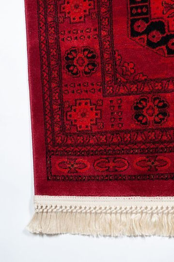 Klonaras Afghan 6964 Klonaras Afghan 6964