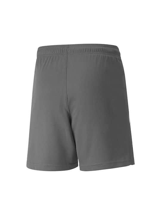 Puma Kids Shorts/Bermuda Fabric Gray