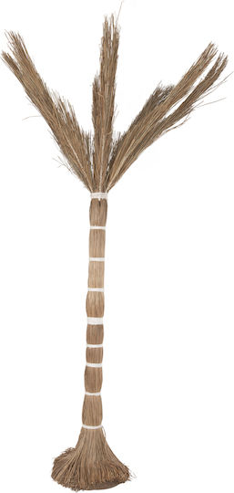 Διακοσμητικο Δεντρο Tropic Hm4324 Τ.φοινικα Mendong Grass 280yεκ