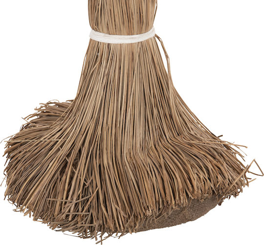 Διακοσμητικο Δεντρο Tropic Hm4324 Τ.φοινικα Mendong Grass 280yεκ