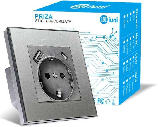 Einzeln Steckdose mit 2 USB-Anschlüssen Silber