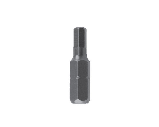 Topmaster Screwdriver Bit