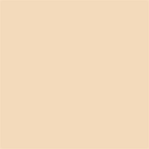 Superior Fotohintergrund Papier 272x1100cm Beige