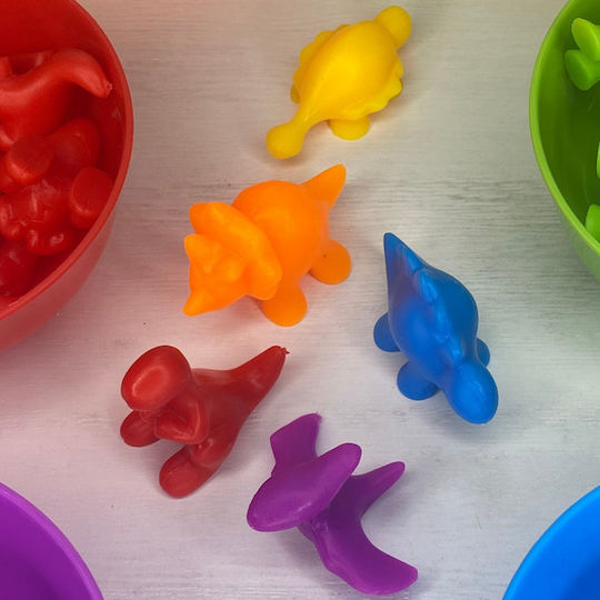 Montessori Educational Game Knowledge