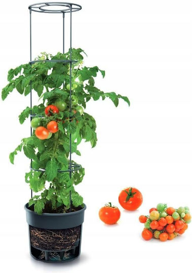 Prosperplast Übertopf Kunststoff Gray 39.2x39.2εκ.