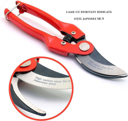 Xtline Pruning Shears Type Ratchet Length 22cm with Maximum Cutting Diameter 19mm