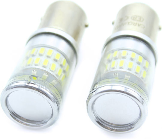 CarGuard Lămpi Autoturismului BA15D Canbus LED 6000K Alb rece 12V 3.5W