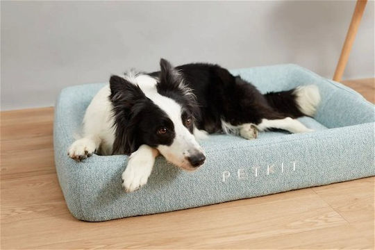 Petkit Bett Katze Türkis