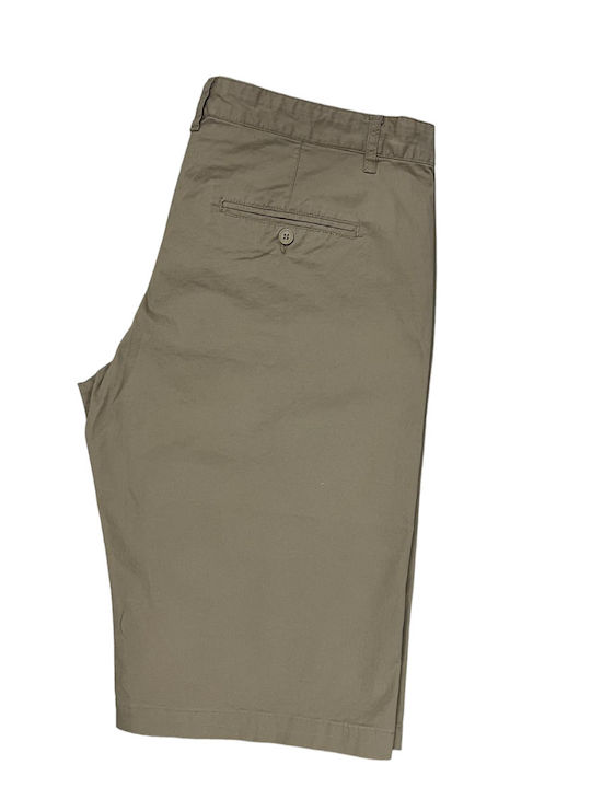 Fabric chino shorts - Beige