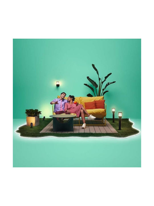 WiZ Klassisch Leuchte Wand mit Integrierter LED RGB Mehrfarbig 16x16x16cm