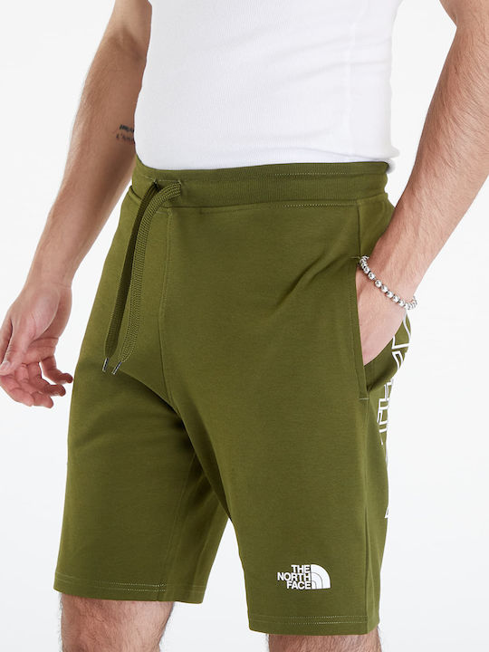 The North Face Herrenshorts Grün