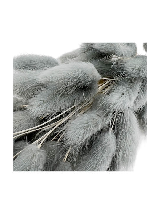 Dried Bunny Tails Dark Grey Bouquet 50-55 pcs 50-60cm