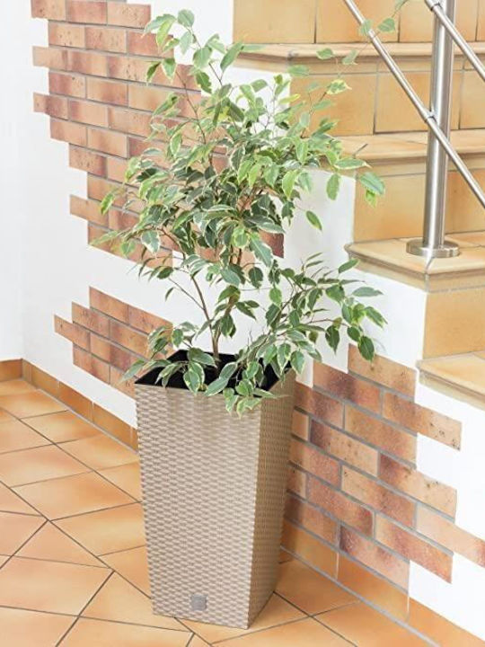 Prosperplast Vaze Pentru Plante Rattan Maro 22.5x22.5x42.1cm 2 Bucăți