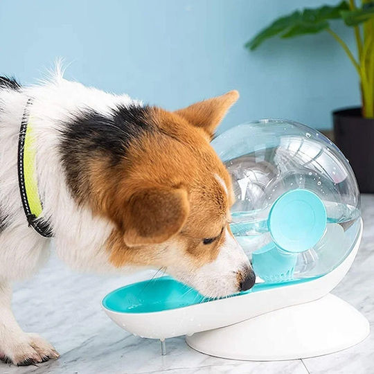 All For Paws Bowl with Container Water for Dog & Cat with Base 2.8lt in White Color