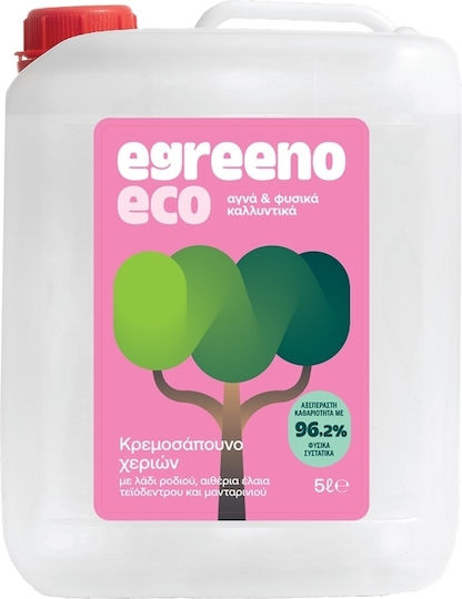 Επαγγελματικό Καθαριστικό Χεριών 5lt EGREENO-HA/5LT
