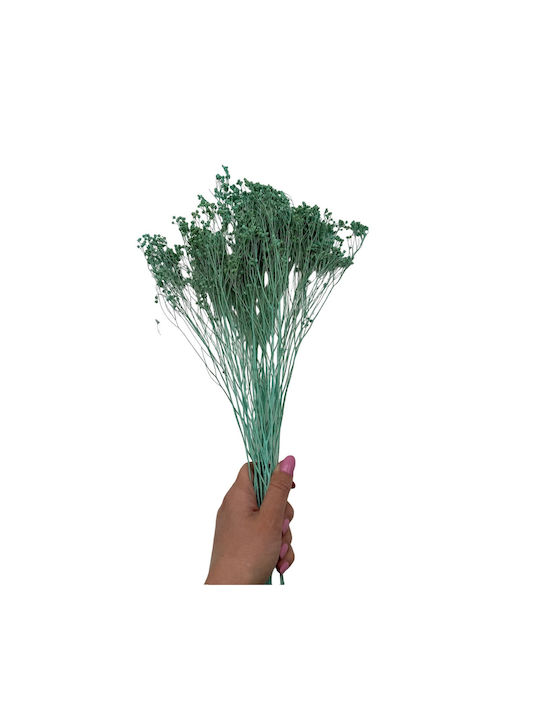 Dried Plant Grass Blue 1pcs