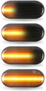 Renault Flash LED за Renault Клио / Пространство / Майстор / Меган / Канго / Лагуна / Панорамен / Туинго 50000 2бр