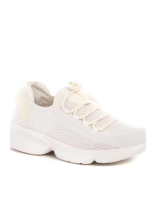 Scholl