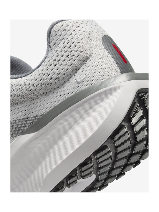 Winflo 11 Sport Shoes Running Photon Dust / Smoke Grey / Light Smoke Grey / Fire Red
