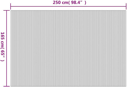 vidaXL Декоративен Параван Бамбуков 165x250см
