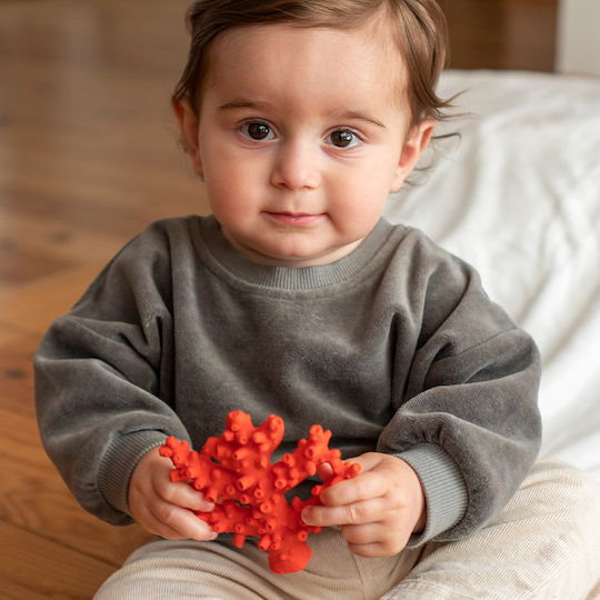 Lanco Natural Rubber Coral Teething Bath Toy