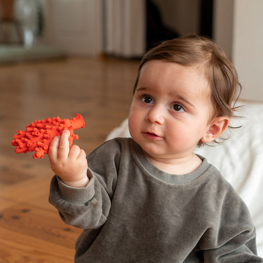 Lanco Natural Rubber Coral Teething Bath Toy