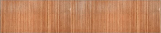 vidaXL Διακοσμητικό Παραβάν από Μπαμπού 165x165cm
