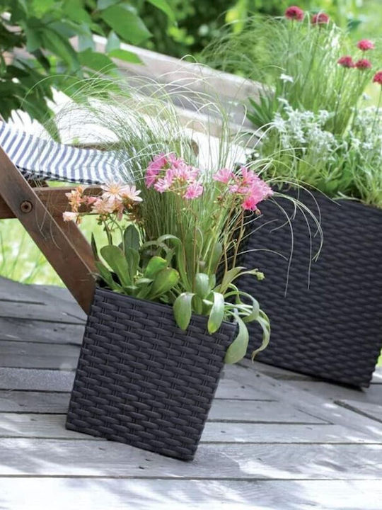 Κασπώ Rattan Καφέ 22.5x22.5x23εκ.
