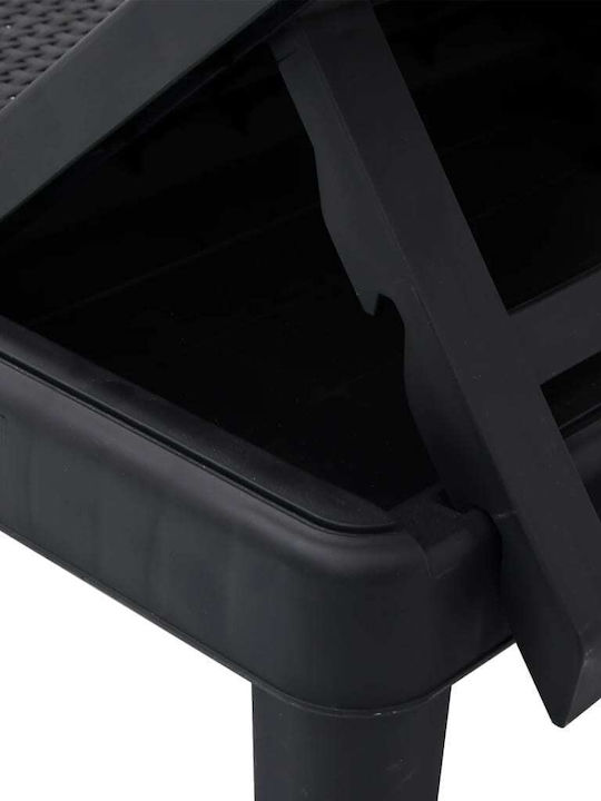 Deckchair Plastic with Cushion Black 159x57x83.5cm.