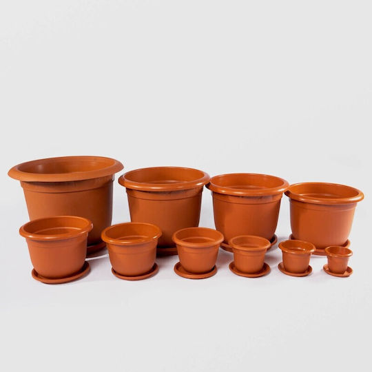 Casserole Tray 30x28 Cm Brown Plastic No.12