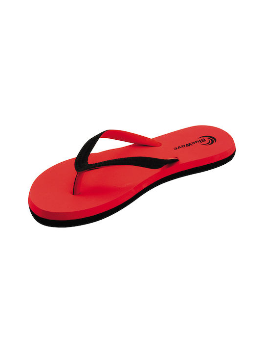 Bluewave Women's Flip Flops Black